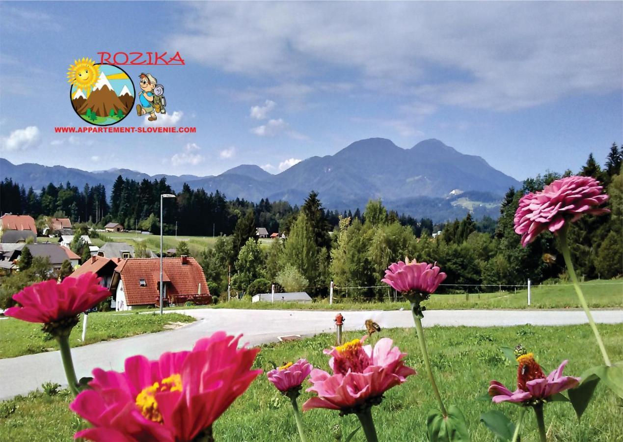 Apartment Rozika Slovenj Gradec Exterior foto