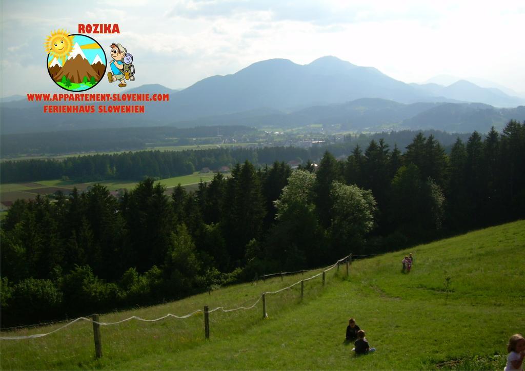 Apartment Rozika Slovenj Gradec Exterior foto